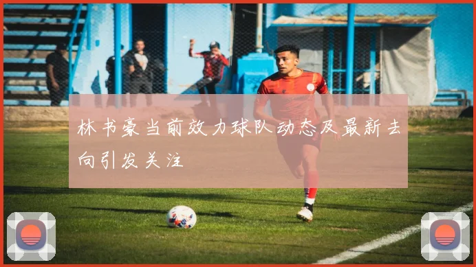 林书豪当前效力球队动态及最新去向引发关注
