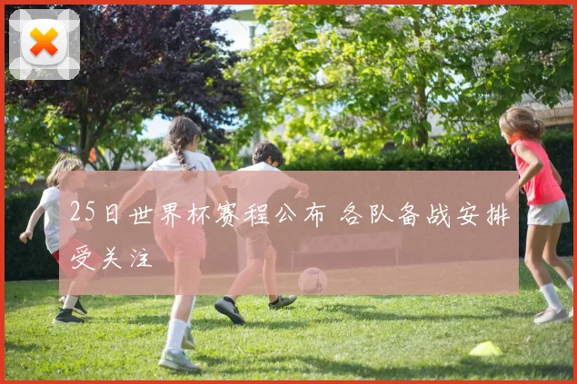 25日世界杯赛程公布 各队备战安排受关注