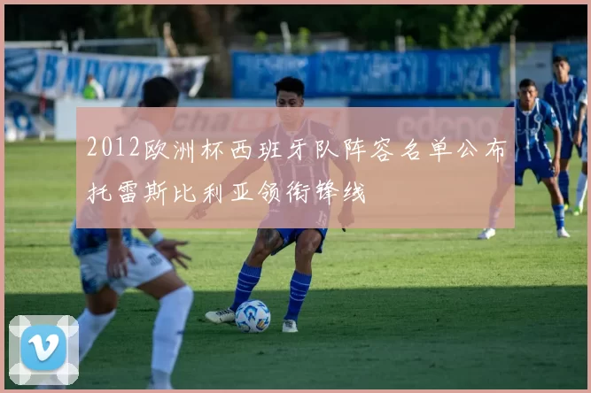 2012欧洲杯西班牙队阵容名单公布托雷斯比利亚领衔锋线